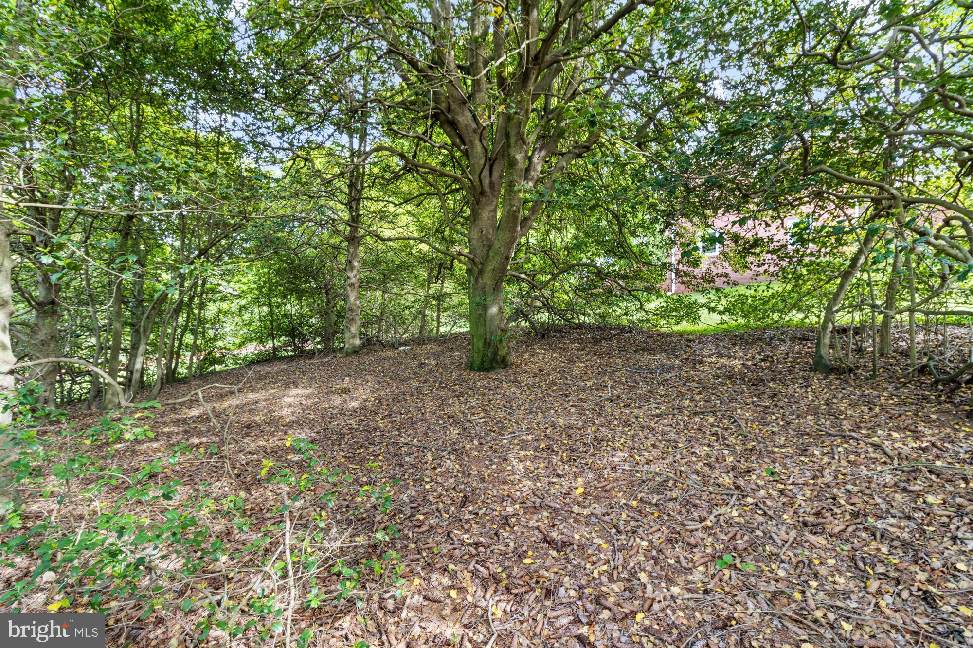 12 WAGON WHEEL COURT