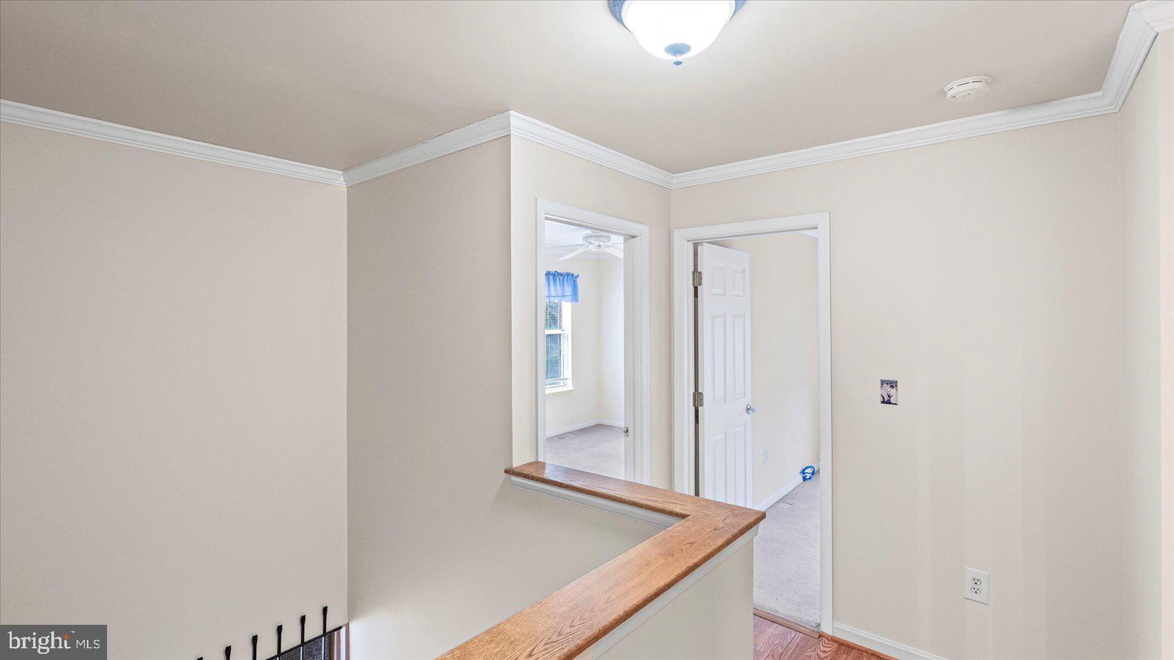 12 MAYAPPLE COURT