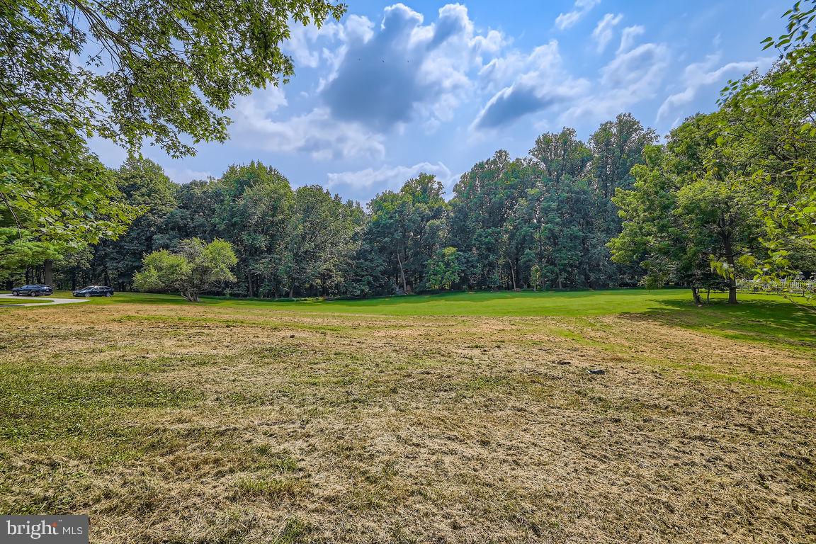 338 BONNIE MEADOW CIRCLE