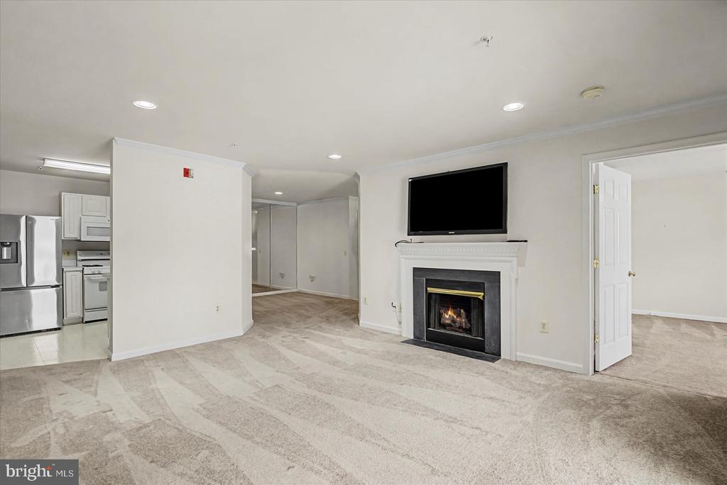 8807 STONE RIDGE CIRCLE 101