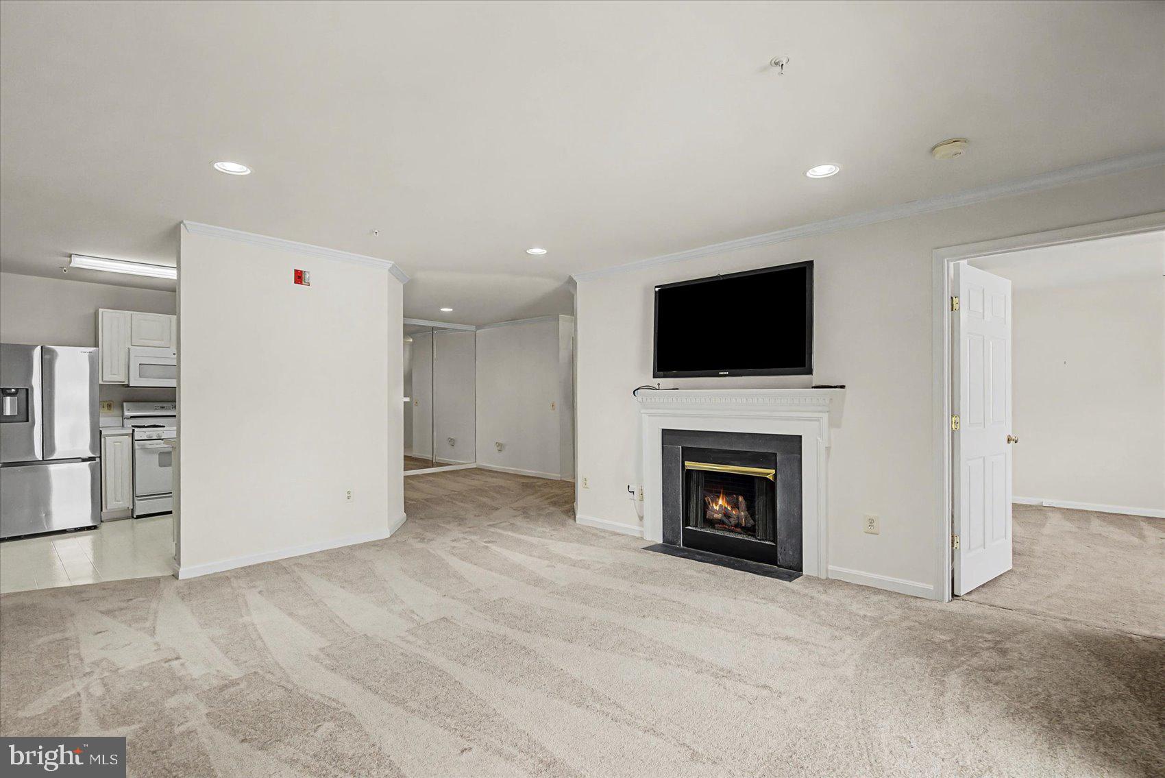 8807 STONE RIDGE CIRCLE 101