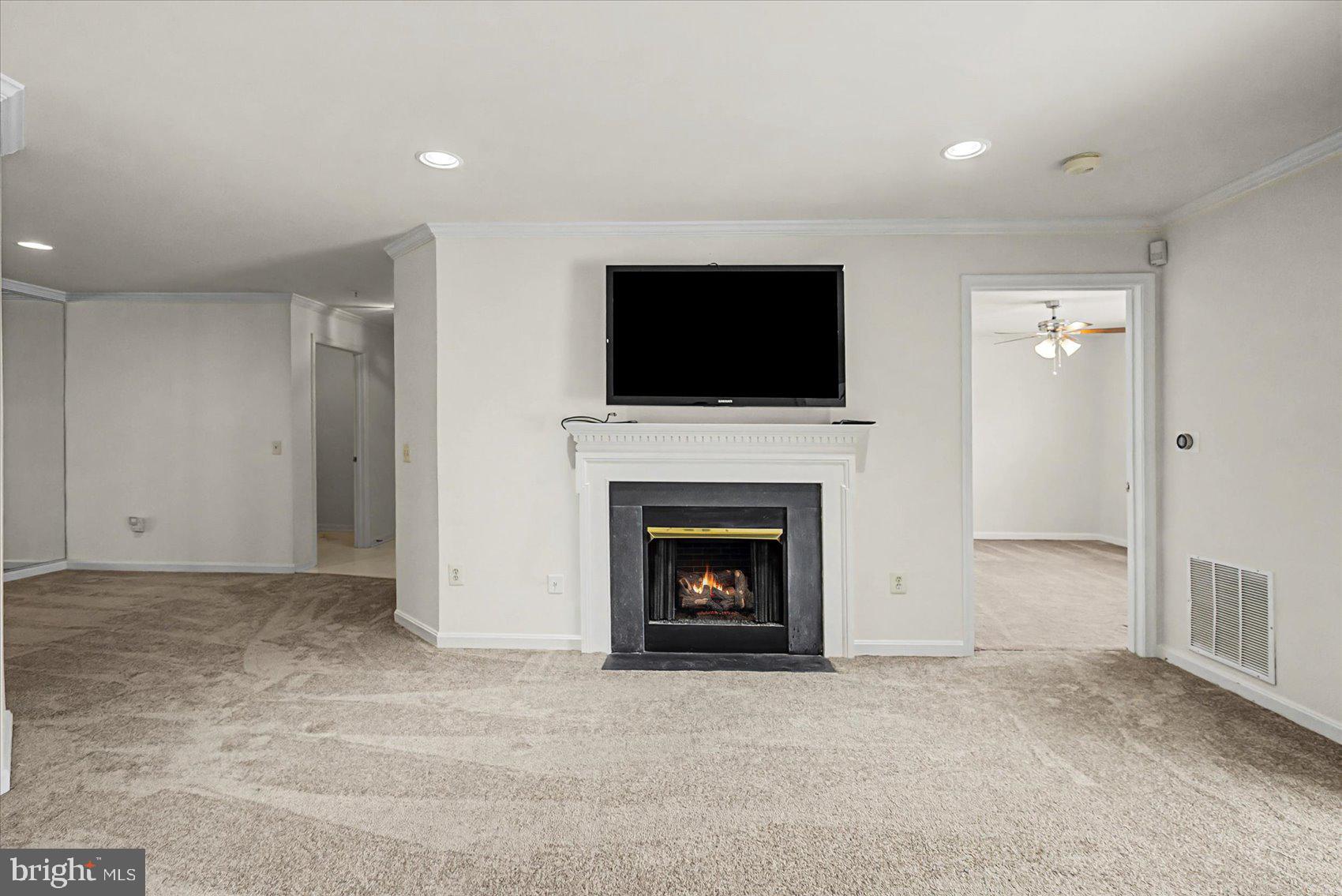 8807 STONE RIDGE CIRCLE 101