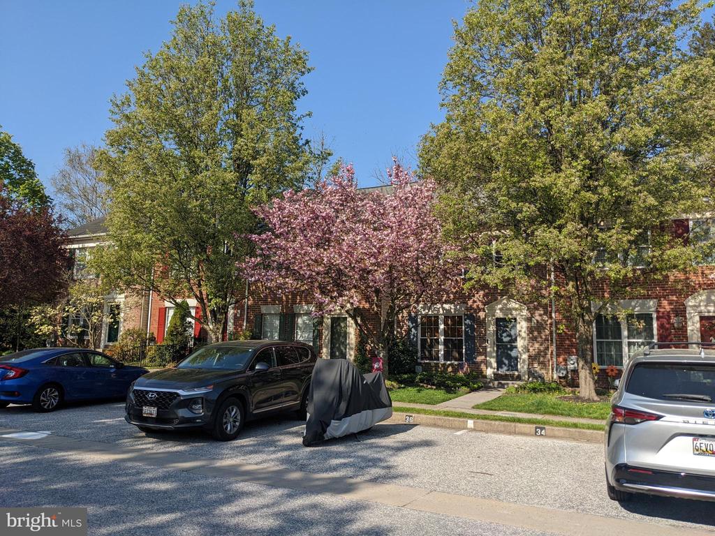 36 WHITE PINE COURT