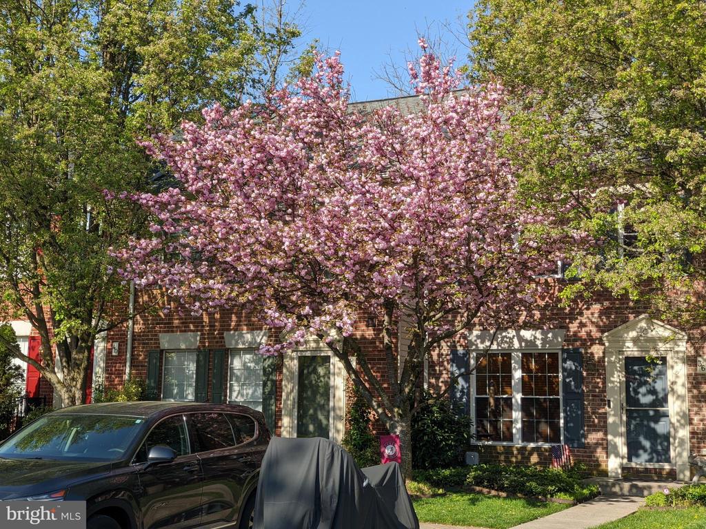 36 WHITE PINE COURT