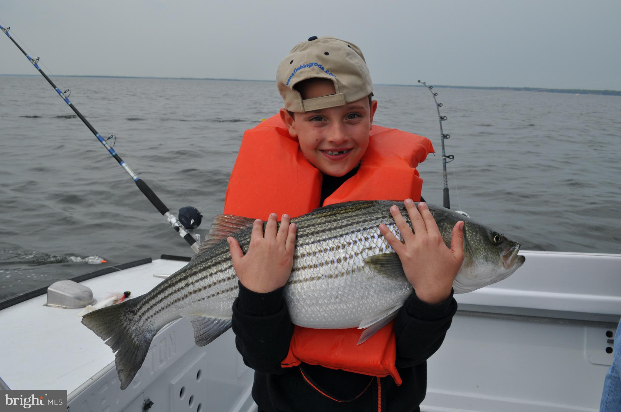 13293 PATUXENT AVENUE