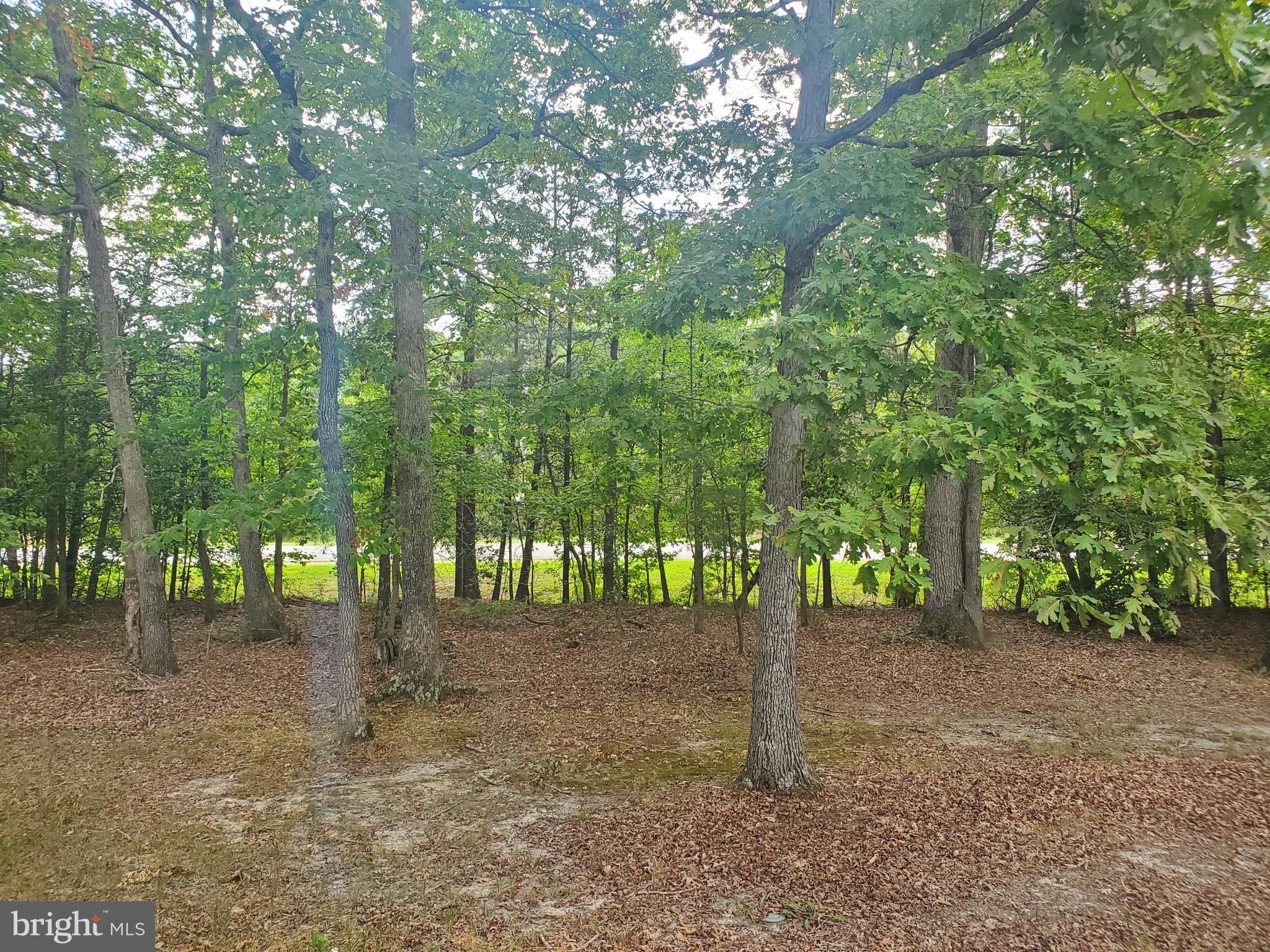 2401 SHADE OAK COURT