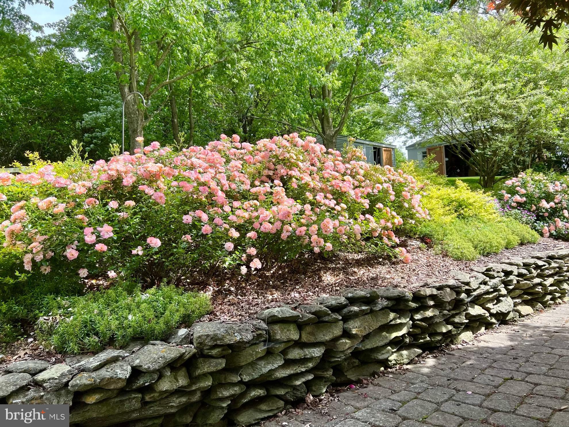 283 STEM ROAD