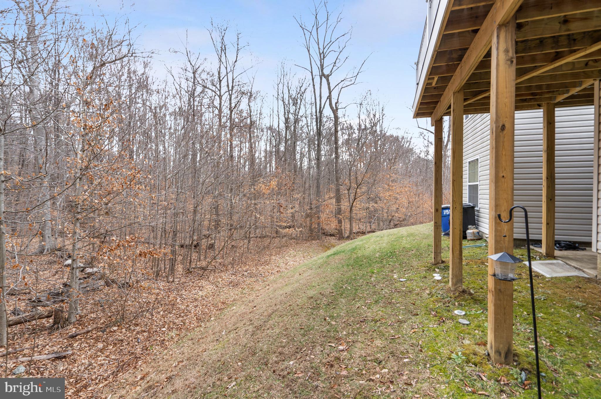 753 ENGLISH IVY WAY