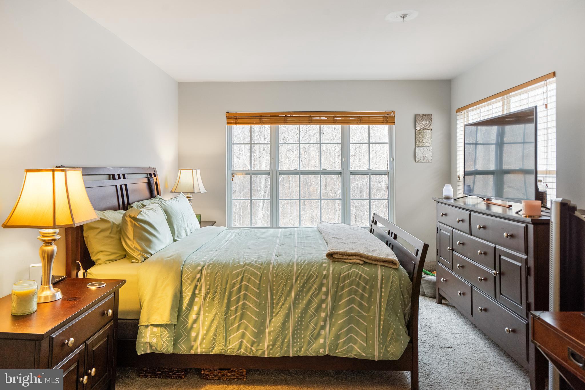 753 ENGLISH IVY WAY
