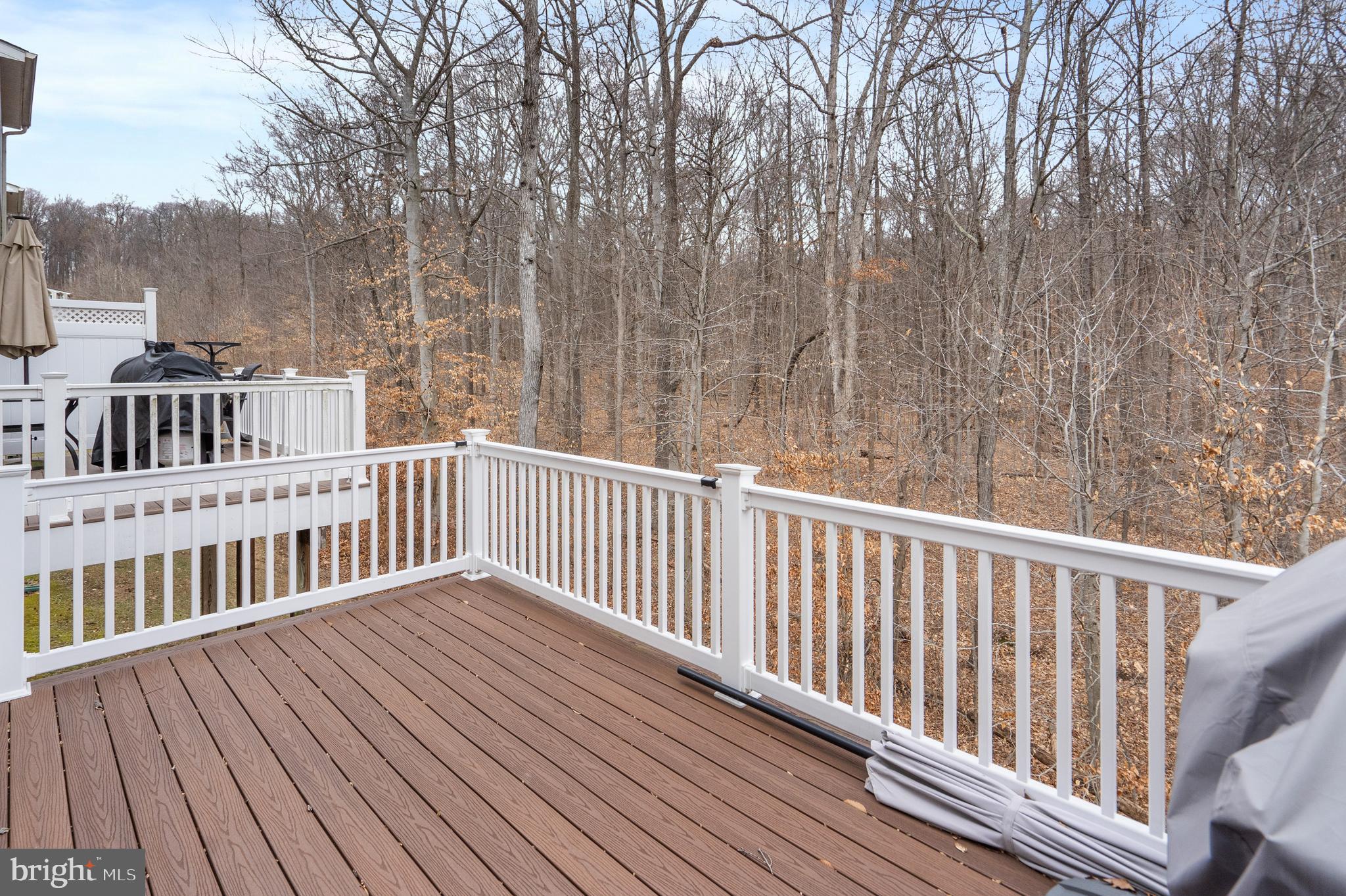 753 ENGLISH IVY WAY