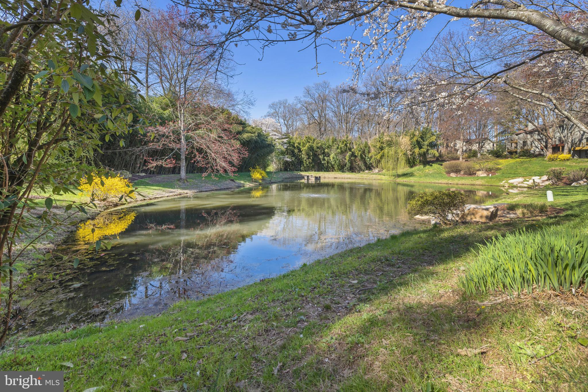 5557 SUFFIELD COURT