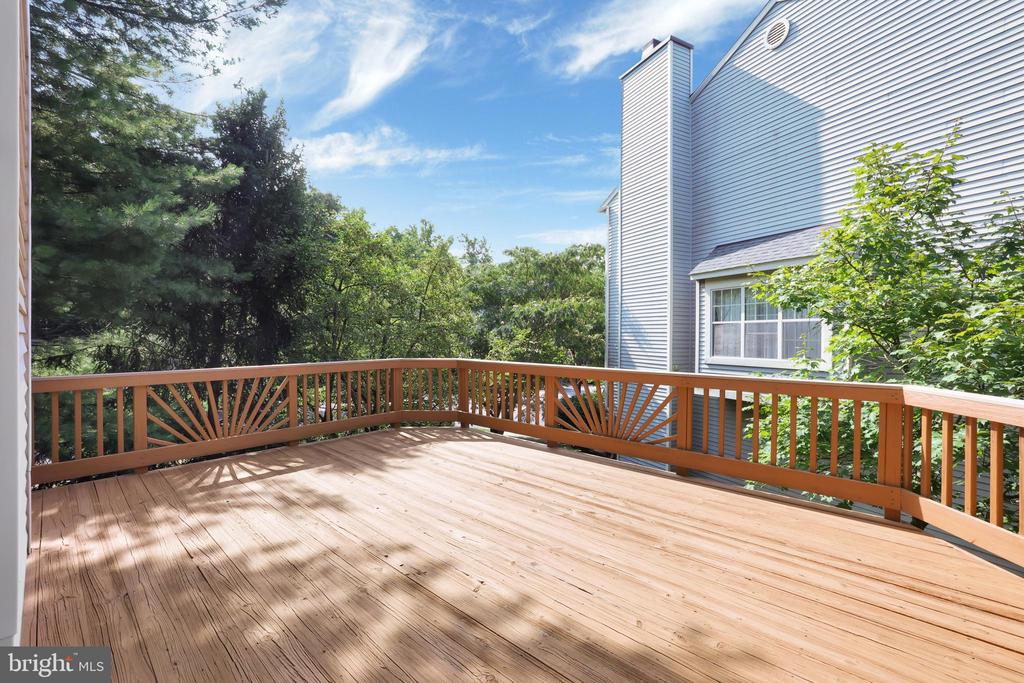12208 BARE BUSH PATH