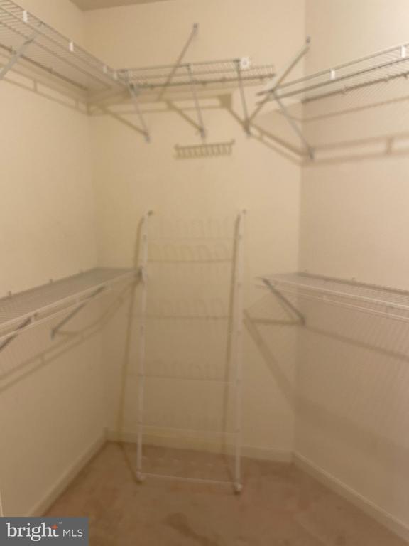 10001 WINDSTREAM DRIVE 107