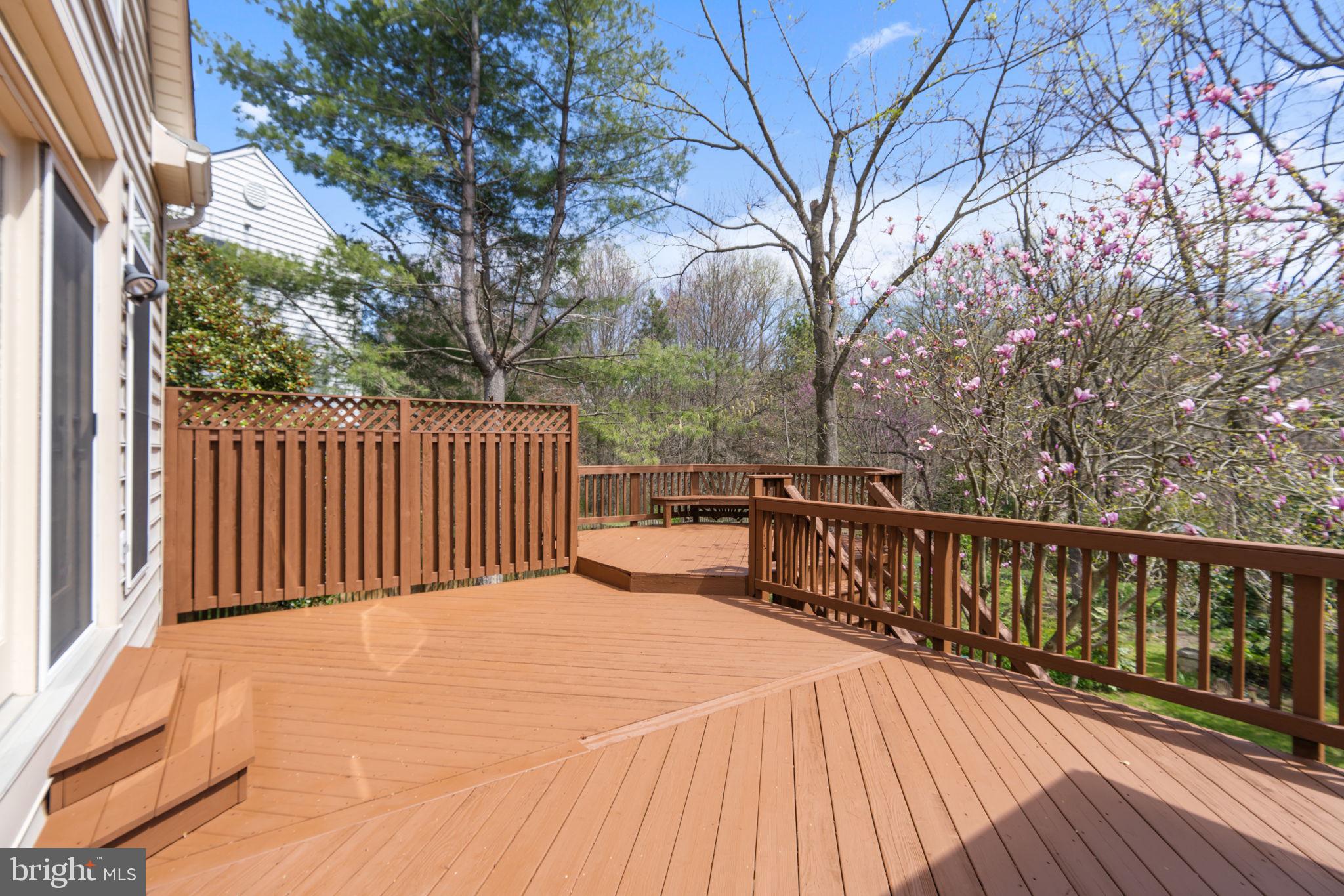 11435 SENECA FOREST CIRCLE