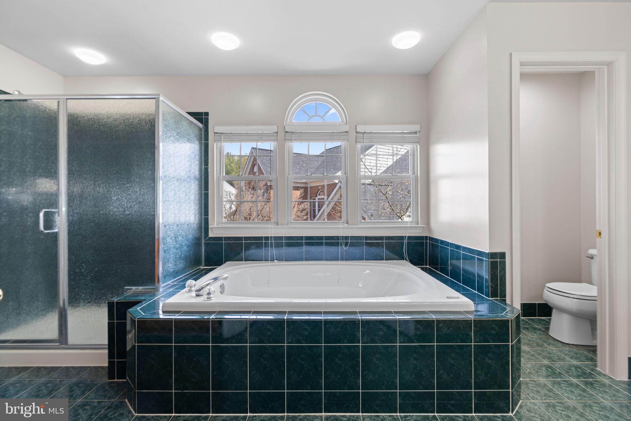 11435 SENECA FOREST CIRCLE