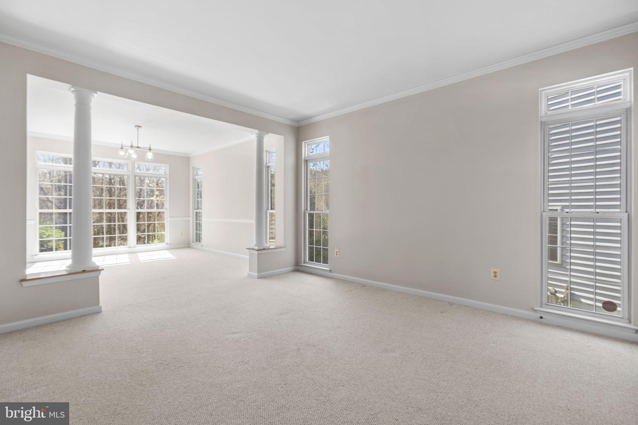 11435 SENECA FOREST CIRCLE