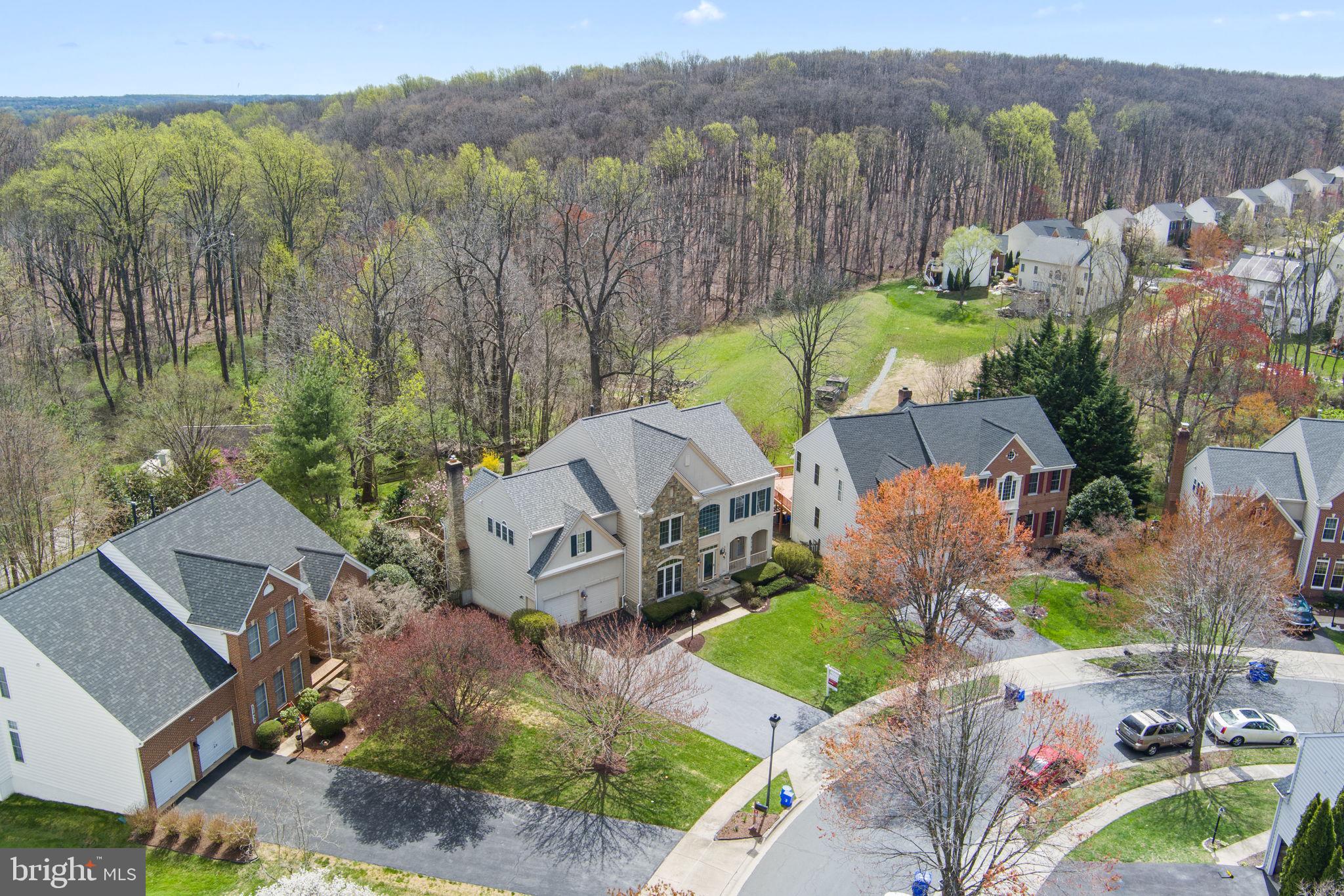 11435 SENECA FOREST CIRCLE
