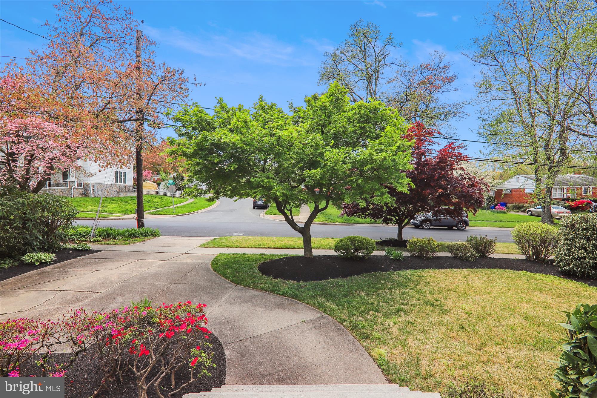 11501 ASHLEY DRIVE