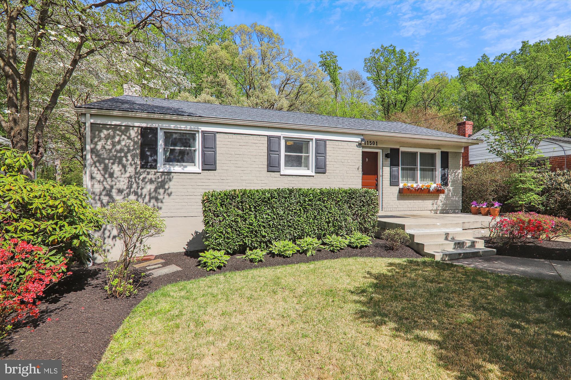 11501 ASHLEY DRIVE