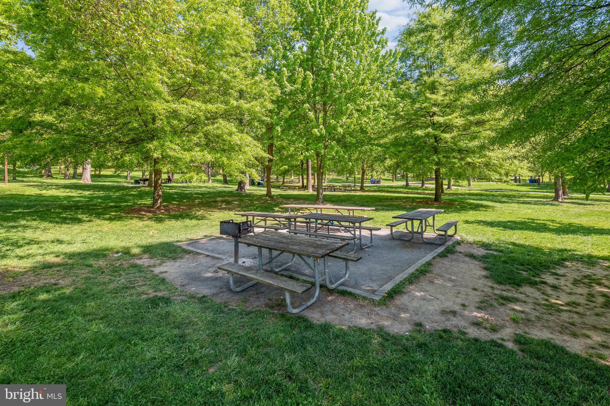 1513 WINDHAM LANE