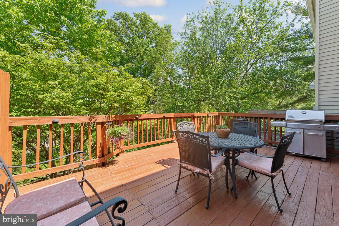 1903 BRIGHTLEAF COURT