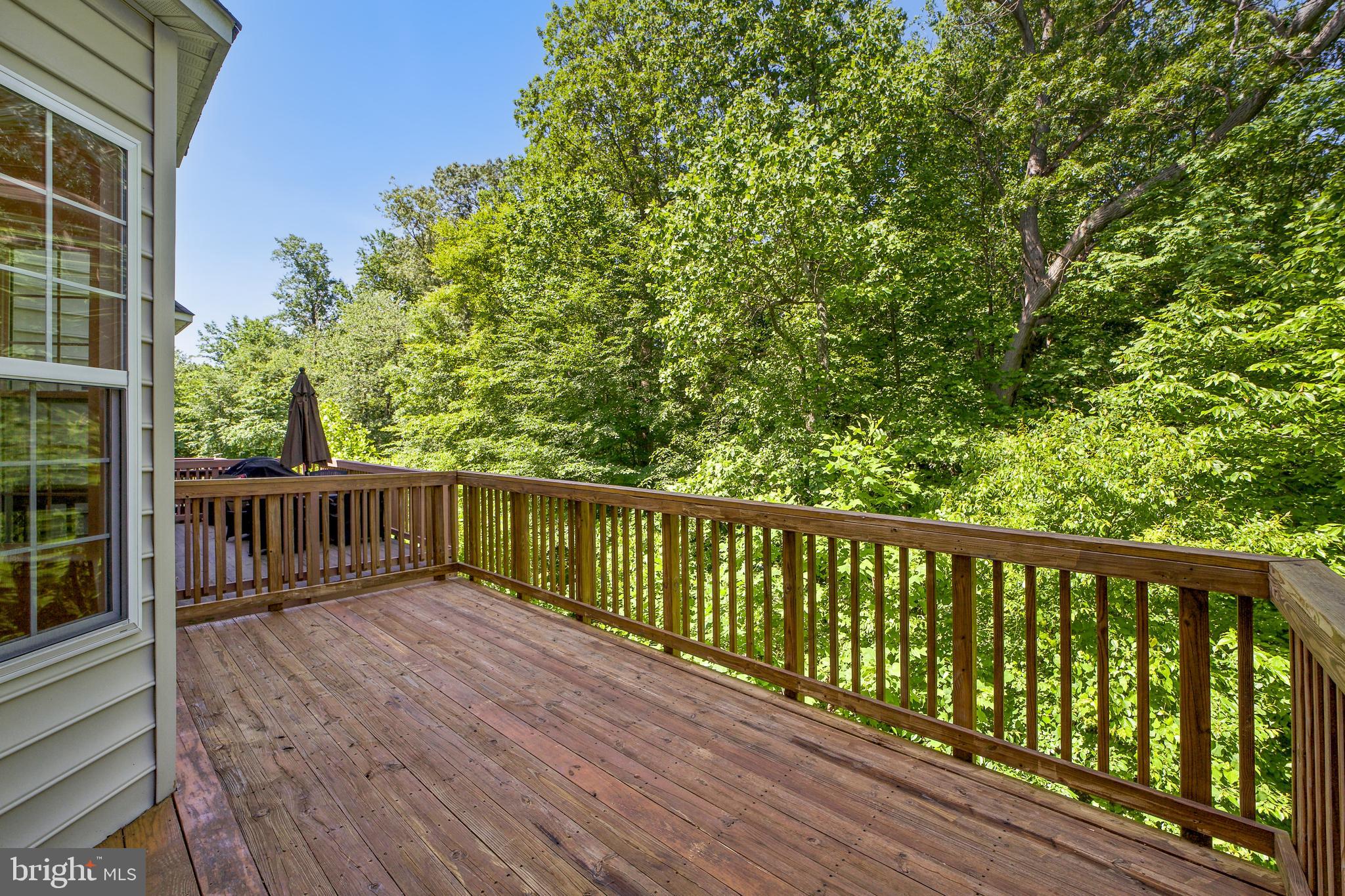 3905 CHELSEA PARK LANE 9