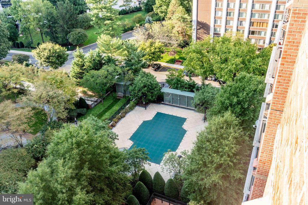 11710 OLD GEORGETOWN ROAD 1323