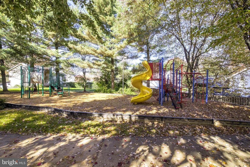 11521 SCOTTSBURY TERRACE