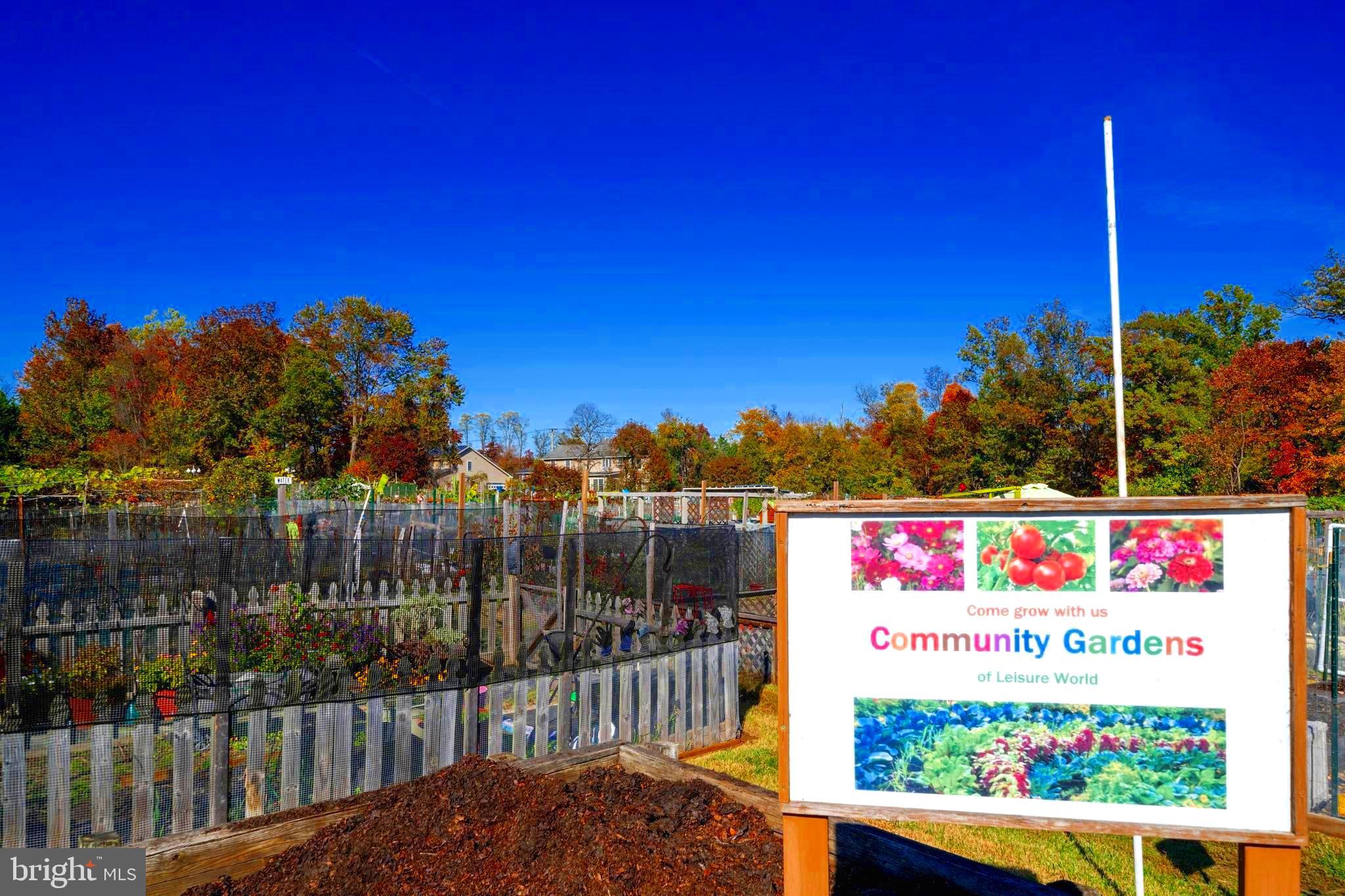 3200 N LEISURE WORLD BOULEVARD 602