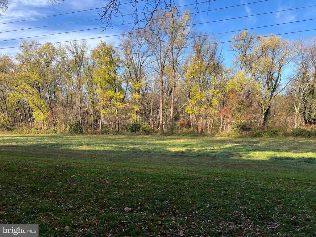 47 MIDLINE COURT