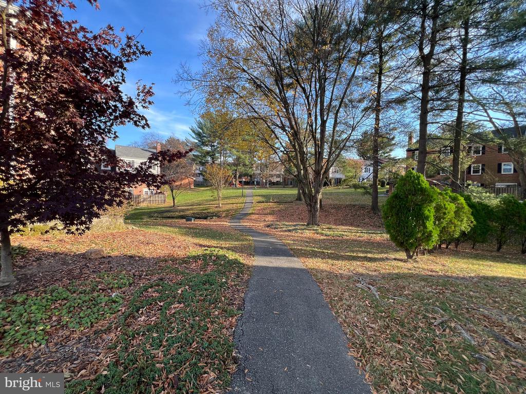 47 MIDLINE COURT