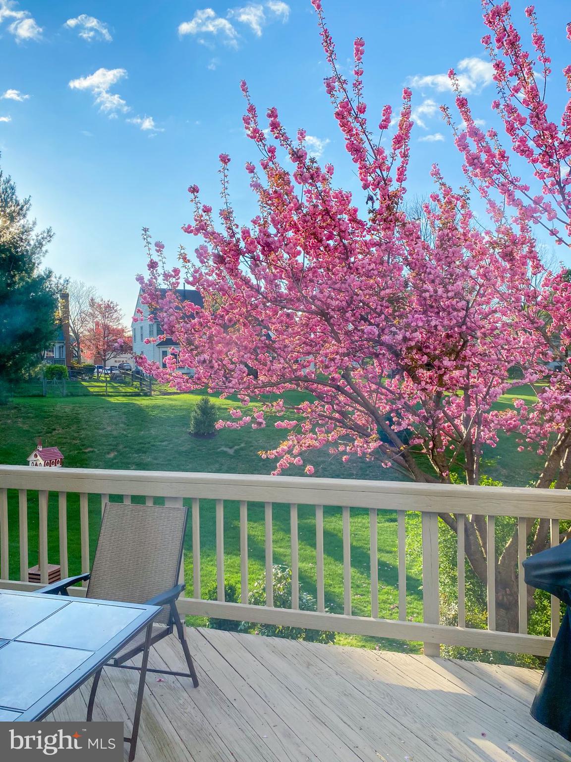 9 BATTERY BEND COURT