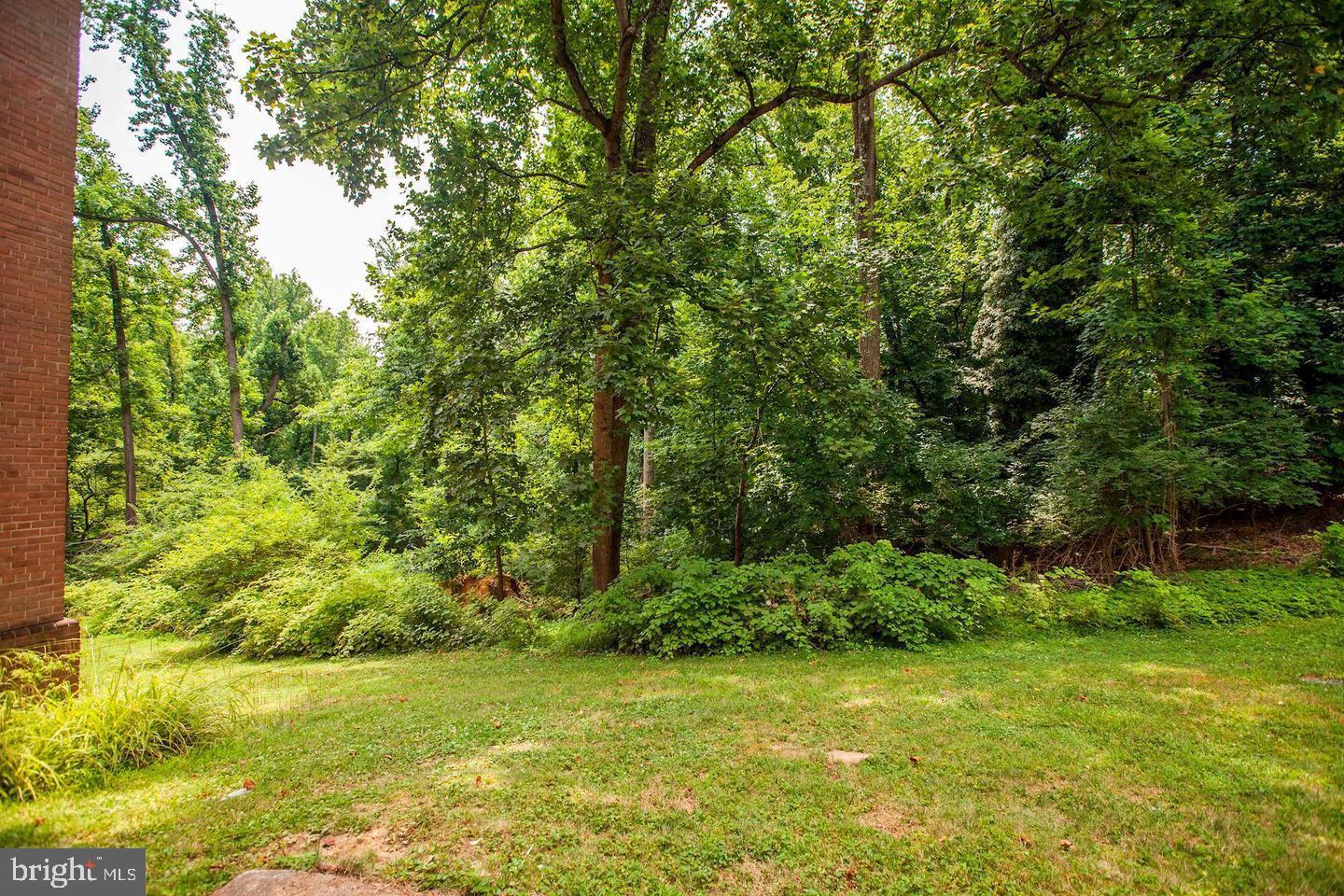 10509 MONTROSE AVENUE M-2