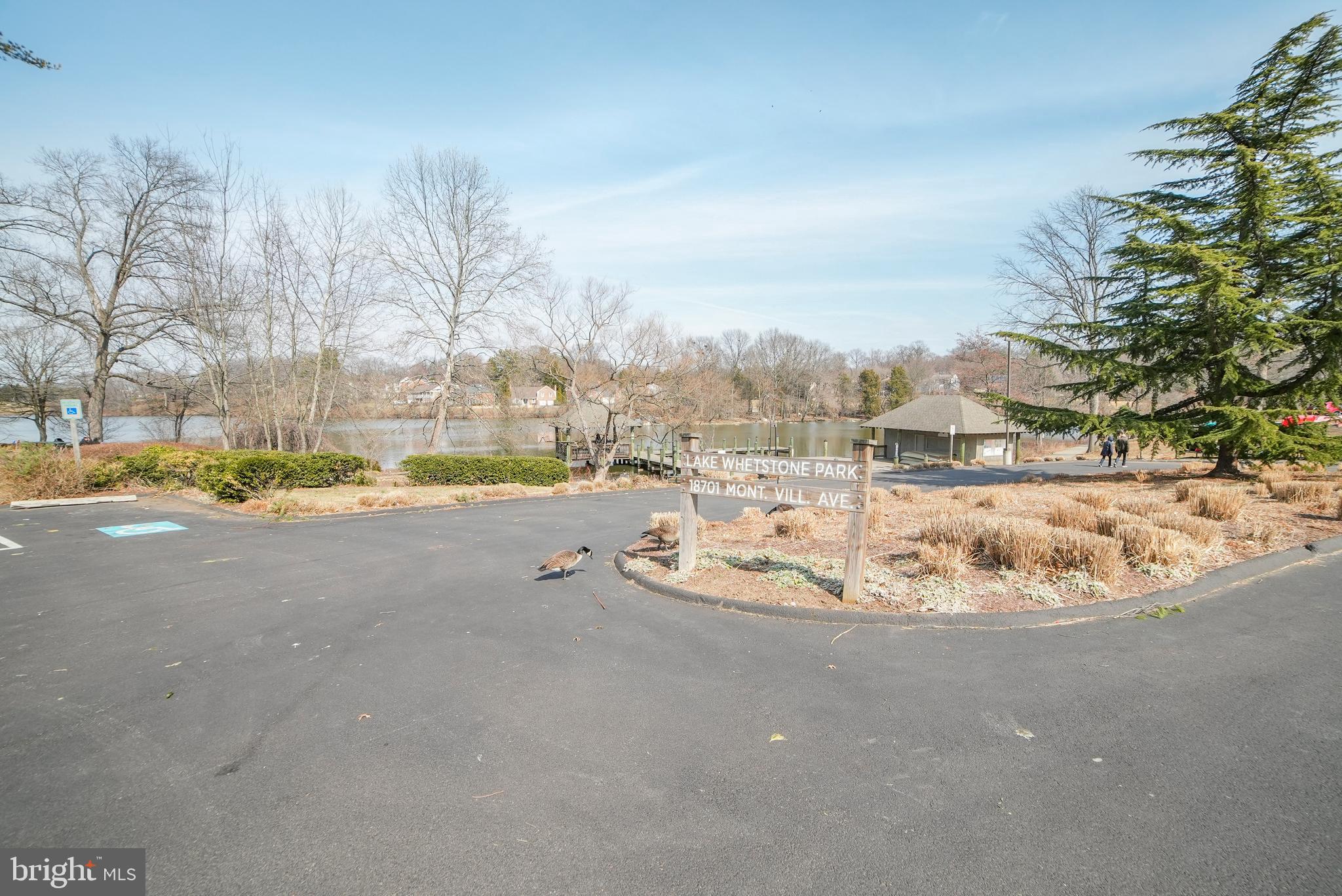 10511 CAMBRIDGE COURT