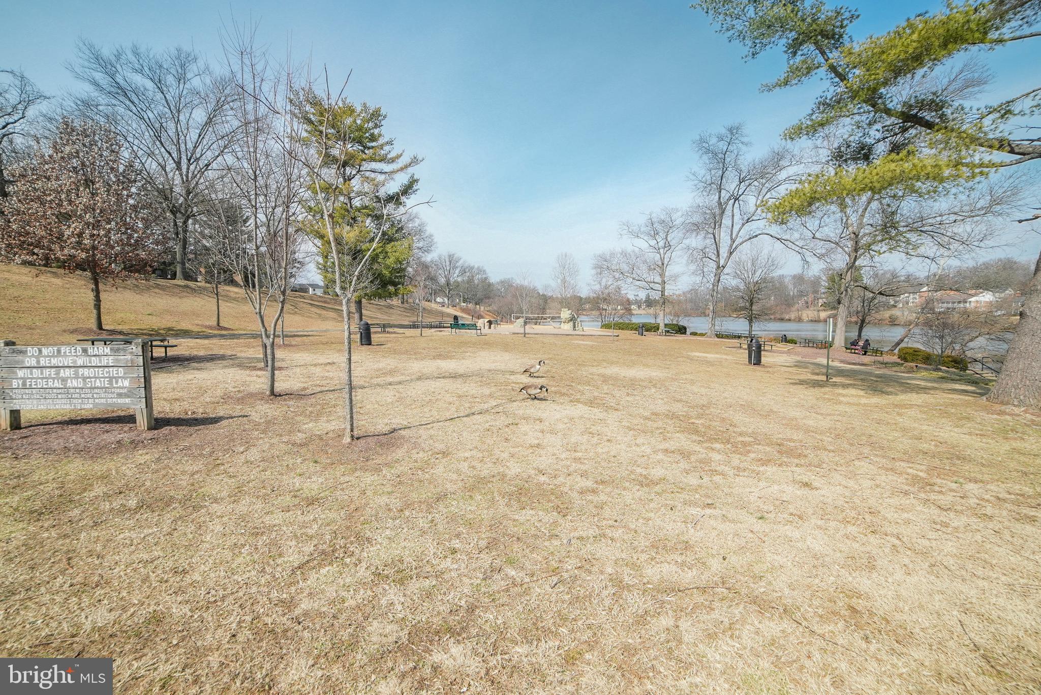 10511 CAMBRIDGE COURT