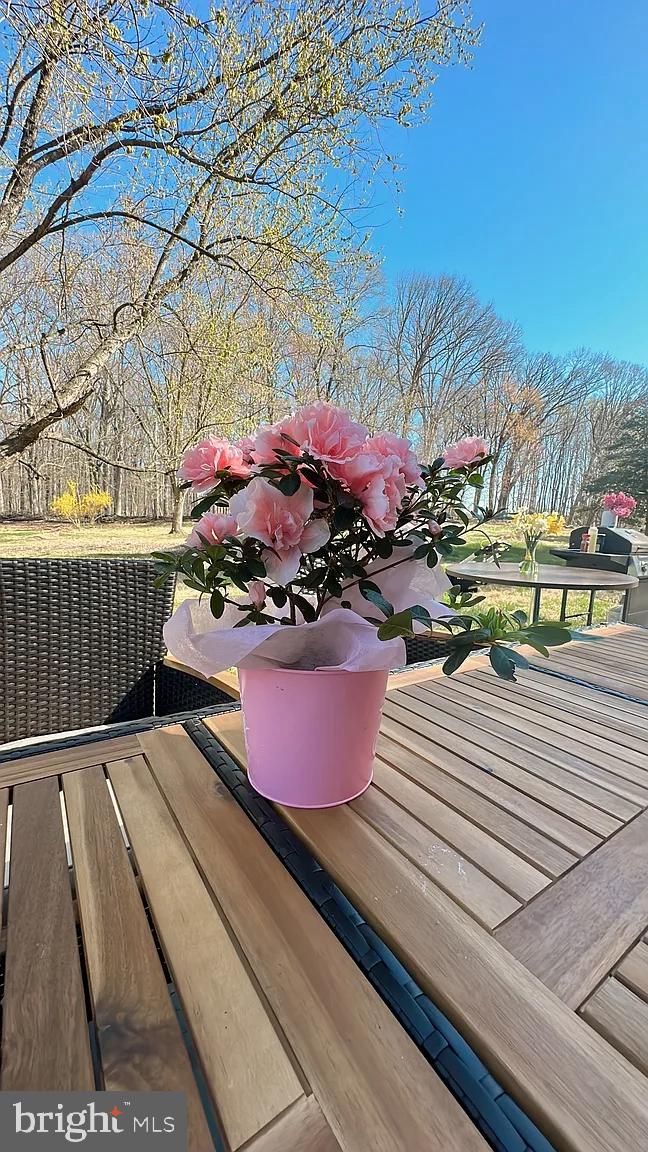 14829 SPRING MEADOWS DRIVE