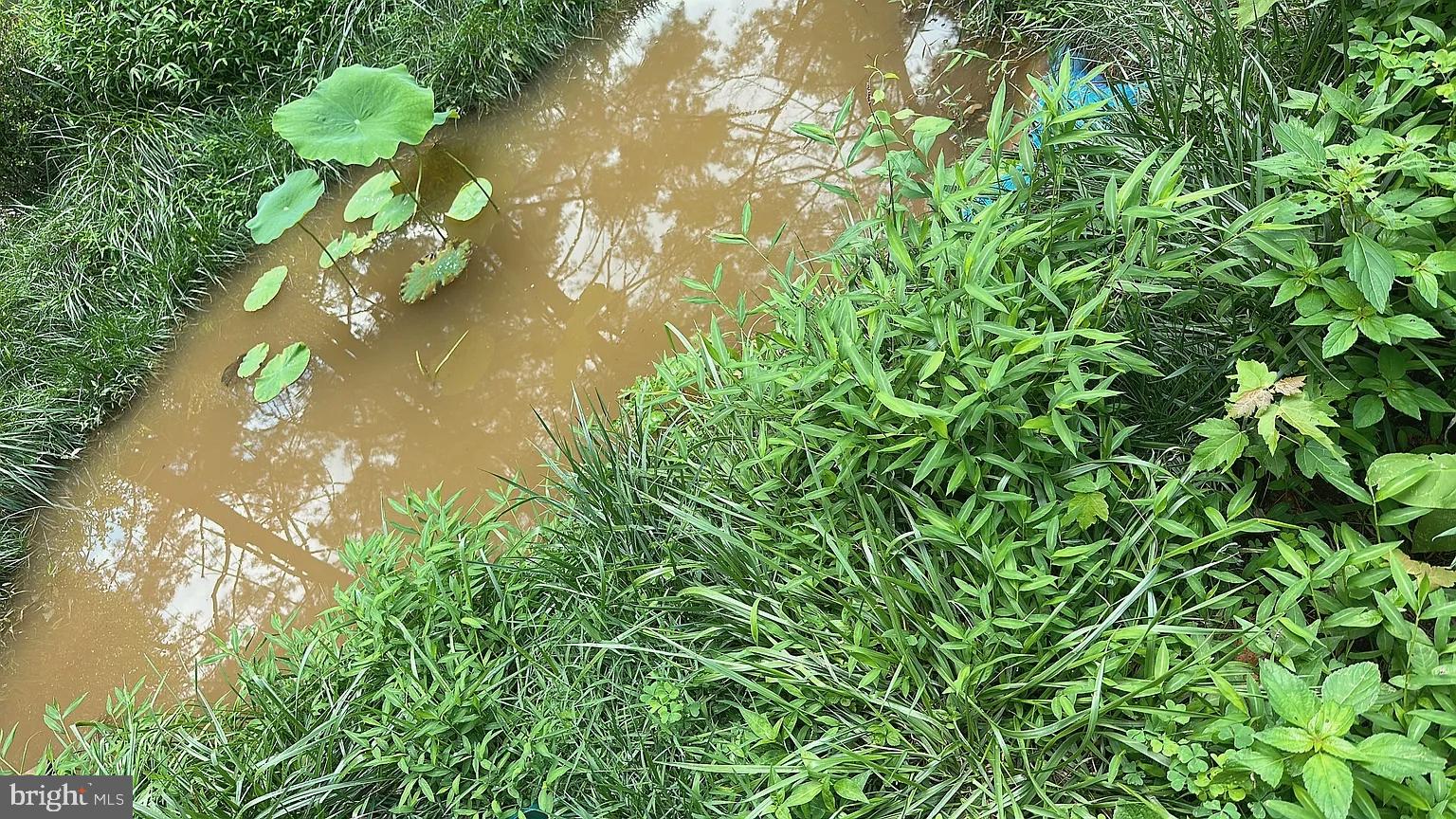 14829 SPRING MEADOWS DRIVE