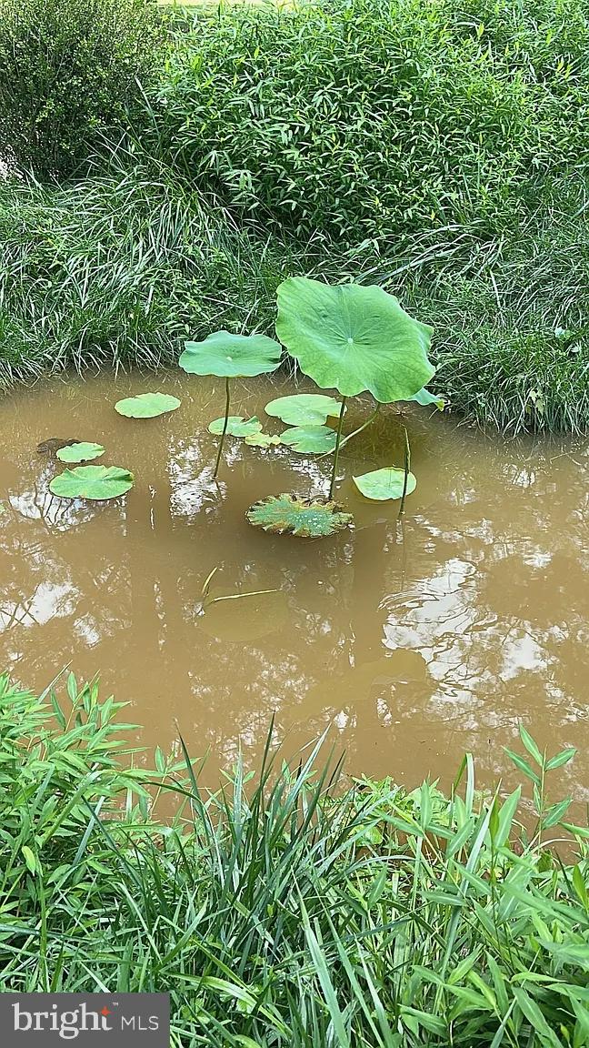 14829 SPRING MEADOWS DRIVE