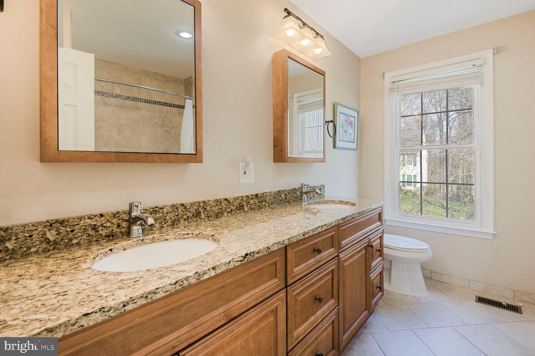 12532 CARRINGTON HILL DRIVE