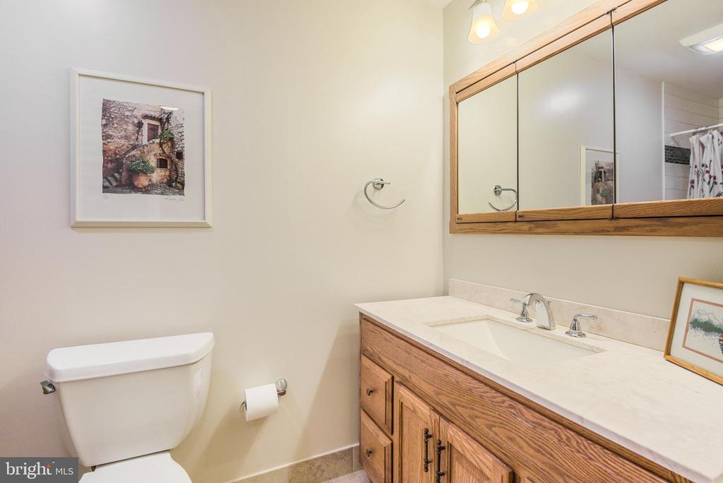 12532 CARRINGTON HILL DRIVE