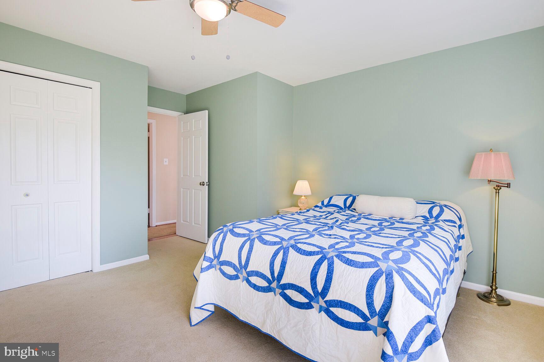 12532 CARRINGTON HILL DRIVE