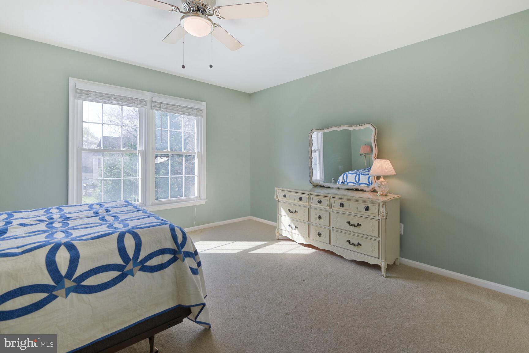 12532 CARRINGTON HILL DRIVE