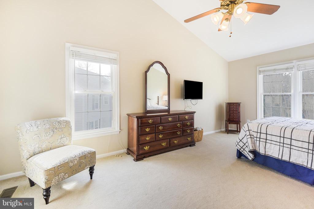 12532 CARRINGTON HILL DRIVE