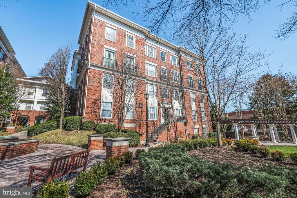 31 BOOTH STREET 251