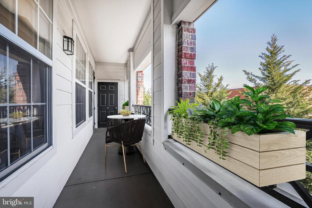 31 BOOTH STREET 251