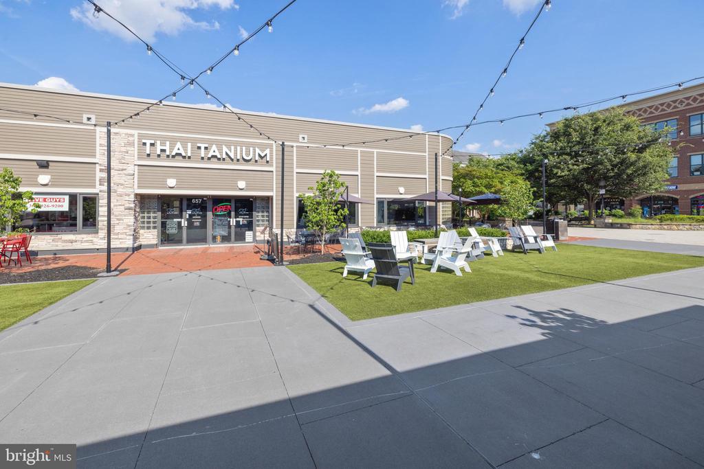 31 BOOTH STREET 251