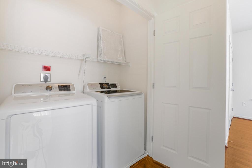 31 BOOTH STREET 251