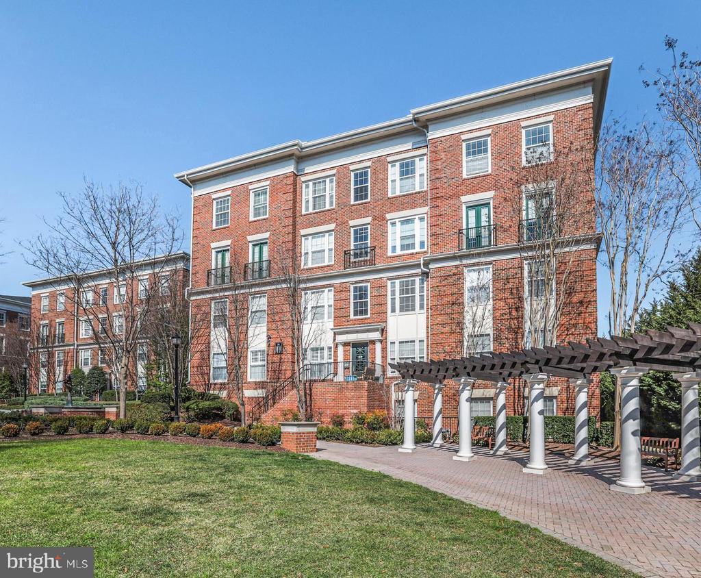 31 BOOTH STREET 251