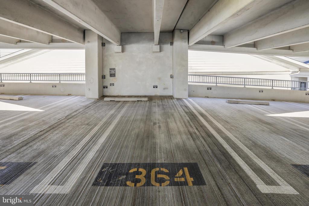 31 BOOTH STREET 251
