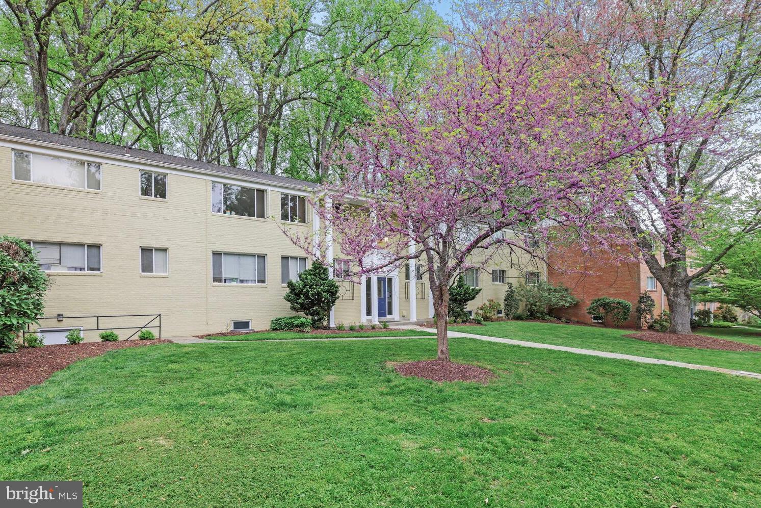 10504 MONTROSE AVENUE M-202